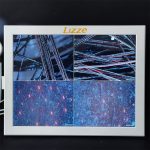 دستگاه آنالیز پوست و مو لیز 15 اینچ UV دار - Image 3